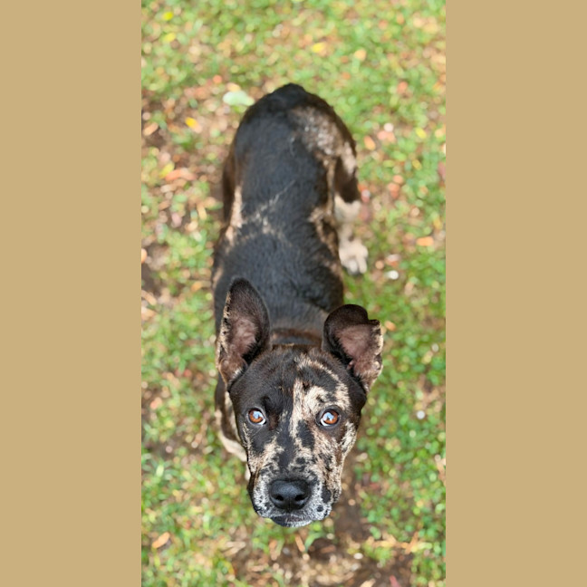 Photo of Hattie