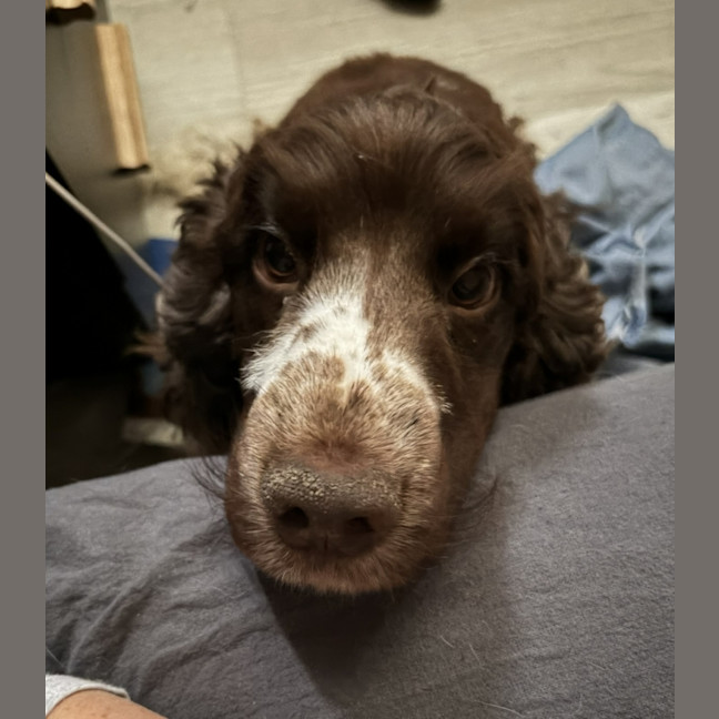 Photo of Gennie