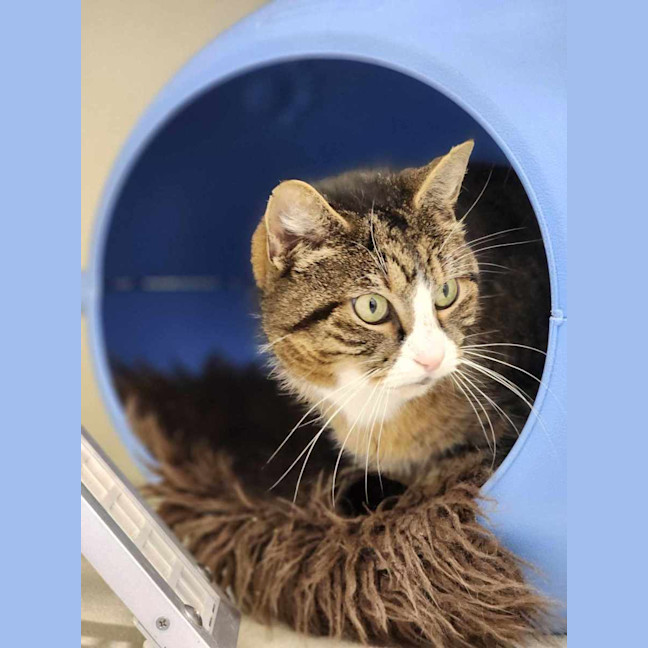 Photo of 🪕 Bruno 5422 🪕