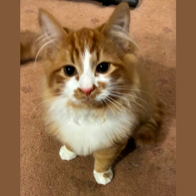 Photo of Benny