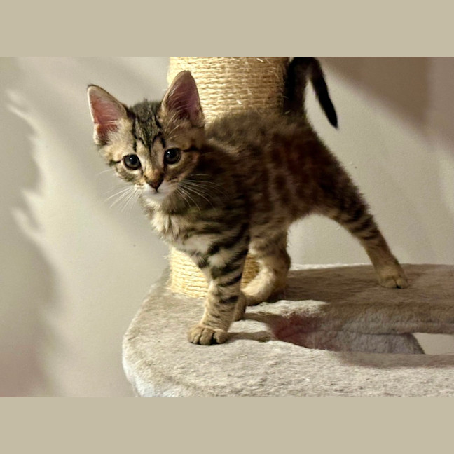 Photo of Luka 😻
