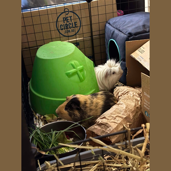 Photo of Peter & Pascal