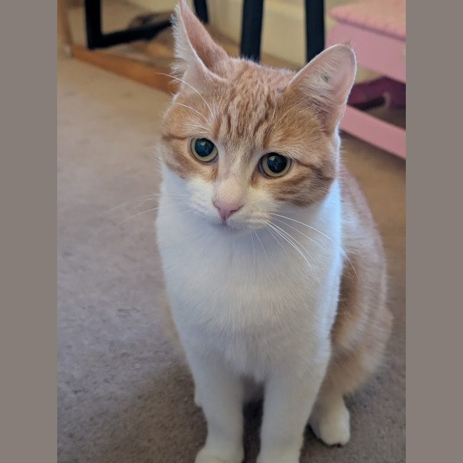 Photo of Charlie 