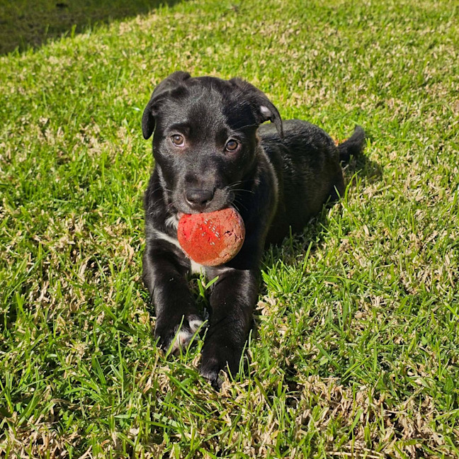 Photo of Cash