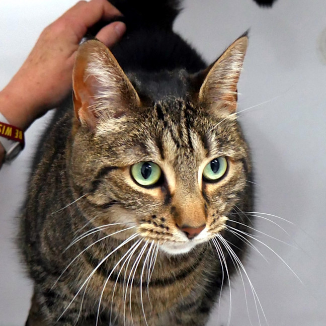 Photo of Leah Sua012872