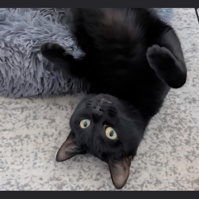 Photo of Fairy Bread
