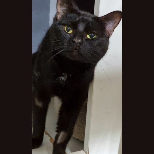 Photo of Disco