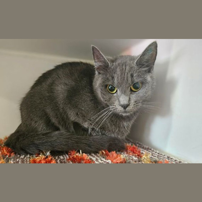 Photo of Maya 