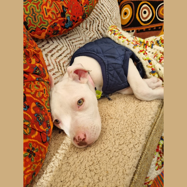 Photo of Winifred (Winnie)