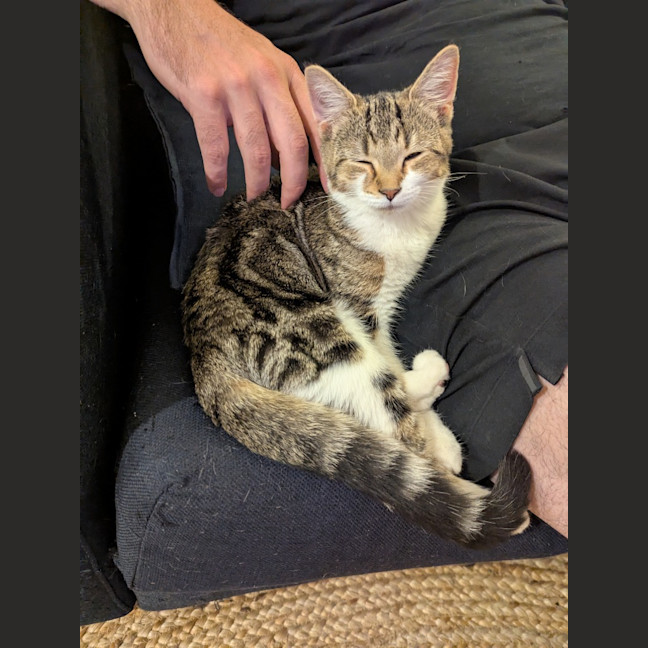 Photo of Dottie Golden