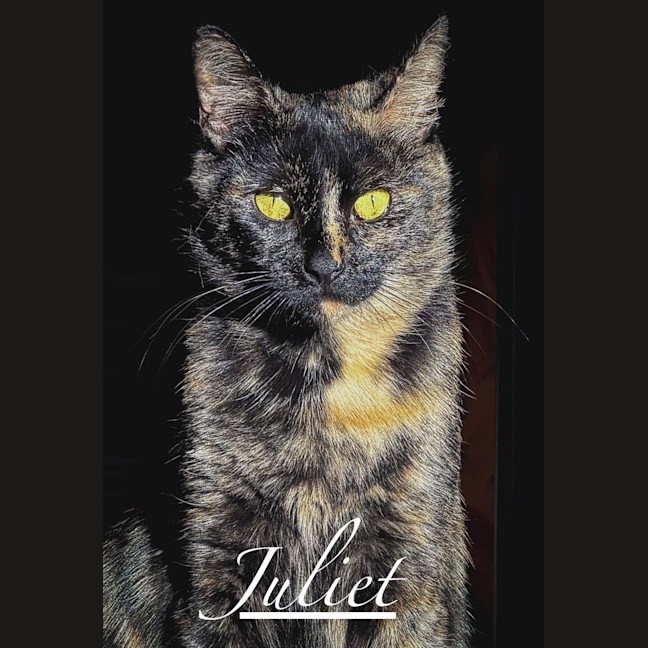Photo of Juliet