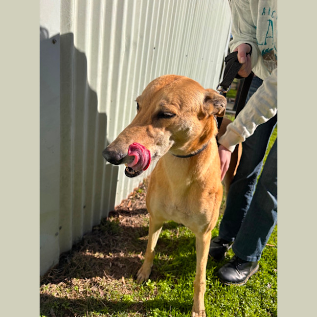Photo of Sandy Girl 