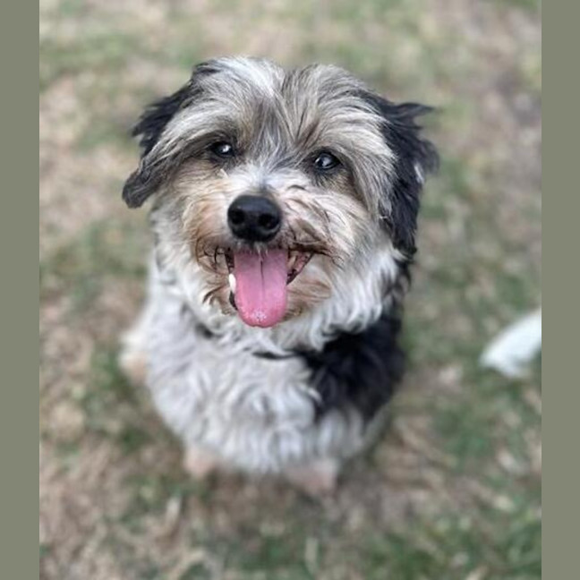 Photo of Libby & Jack