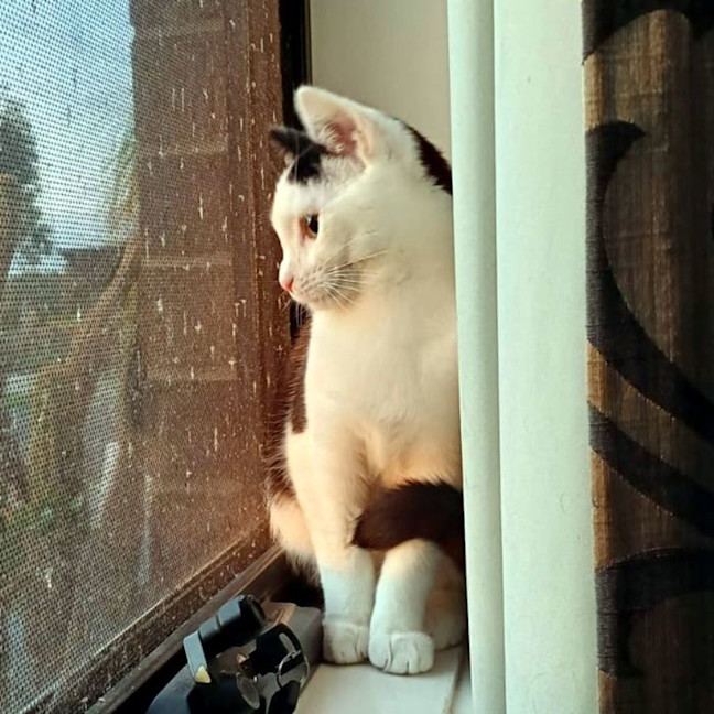 Photo of Raven Suk012656