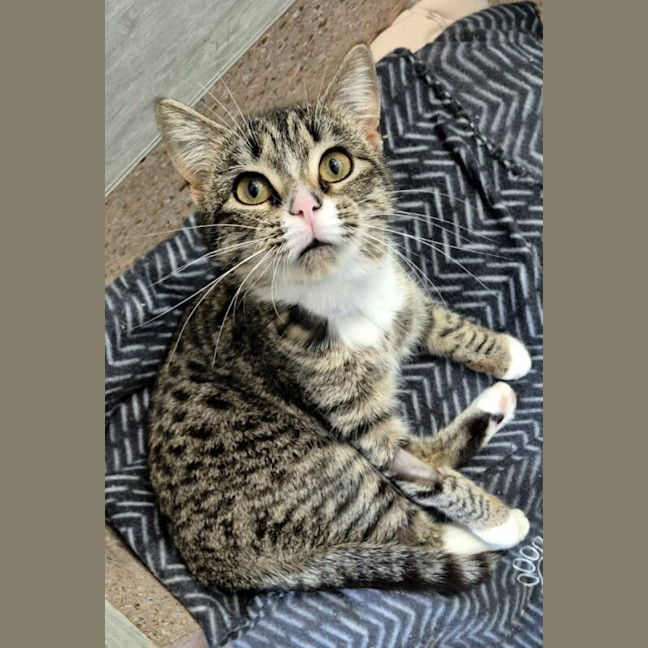 Photo of Molly
