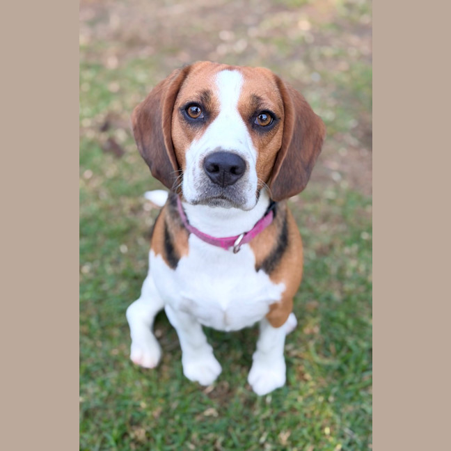 Photo of Kiki