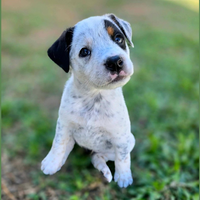 Photo of Peggy