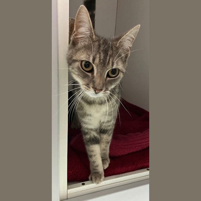 Photo of Nina
