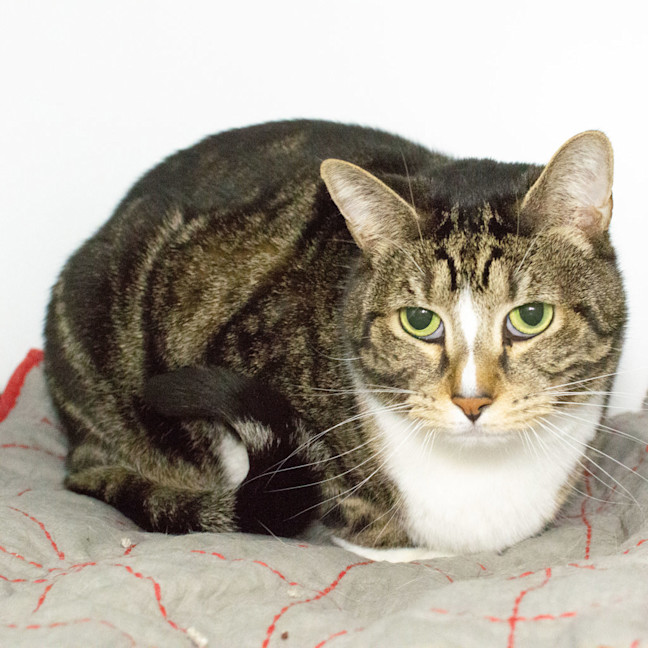 Photo of Cash