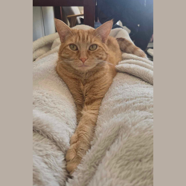 Photo of Saige & Charlie 