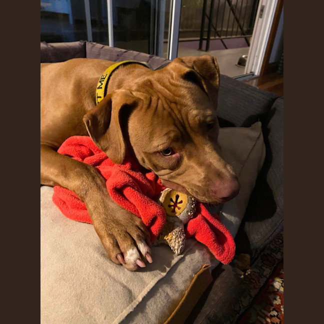 Photo of Tutu