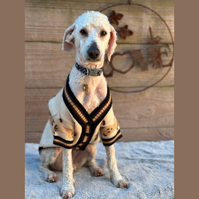 Photo of Quasar