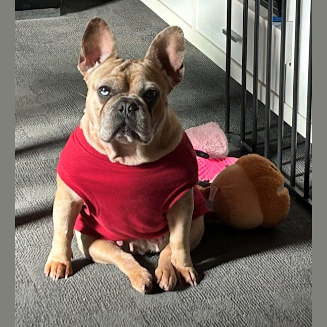Photo of Luna Wensleydale