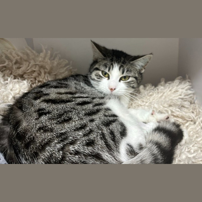 Photo of Veronica
