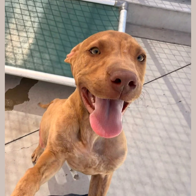Photo of Sadie 