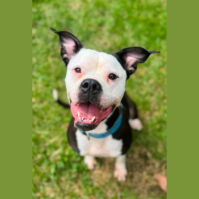 Photo of Ellie