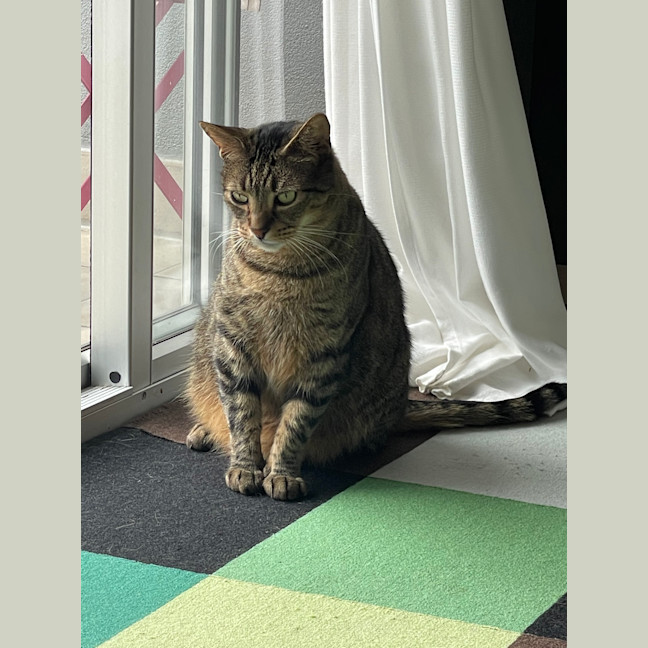 Photo of Beans