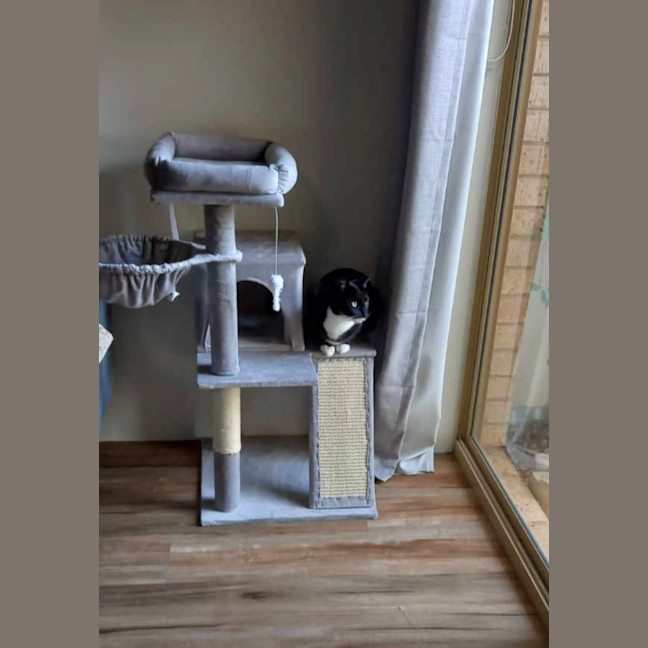 Photo of Chloe