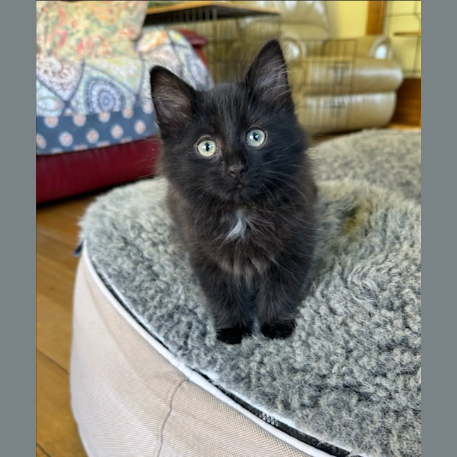 Photo of Void