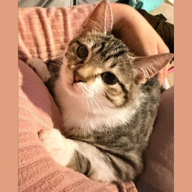 Photo of Mia