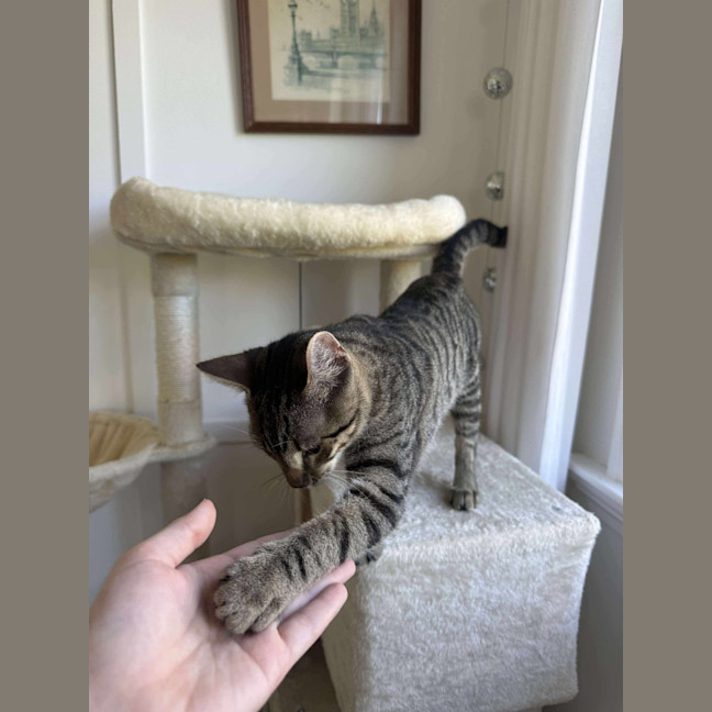 Photo of Jasper