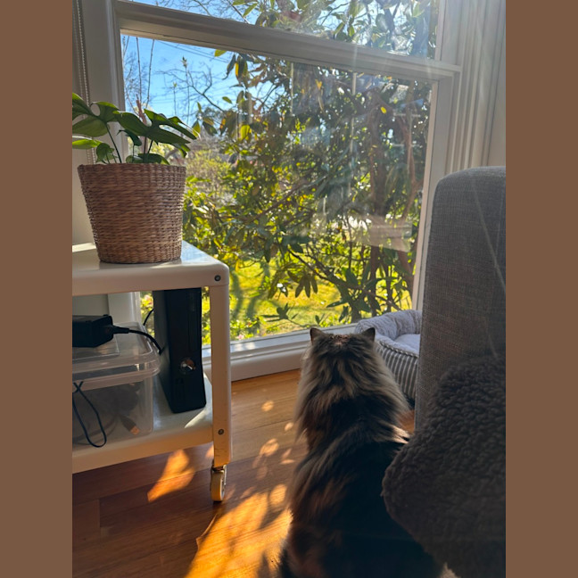 Photo of Gorgeous George