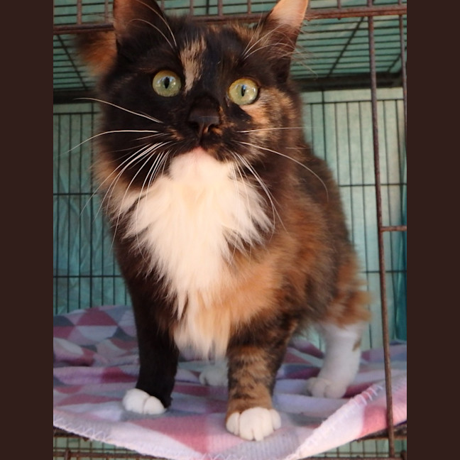 Photo of Hazel And Hannah