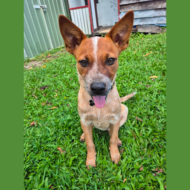 Photo of Winifred