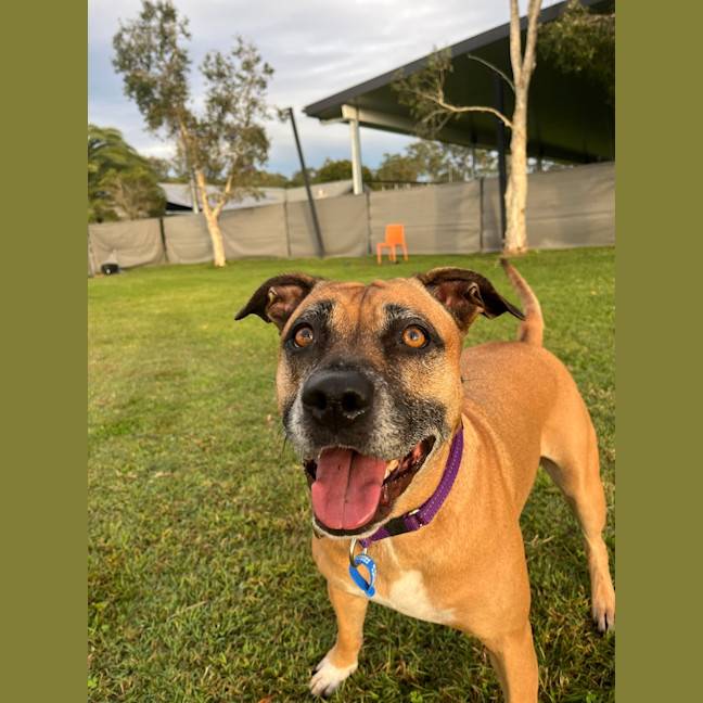 Photo of Luna