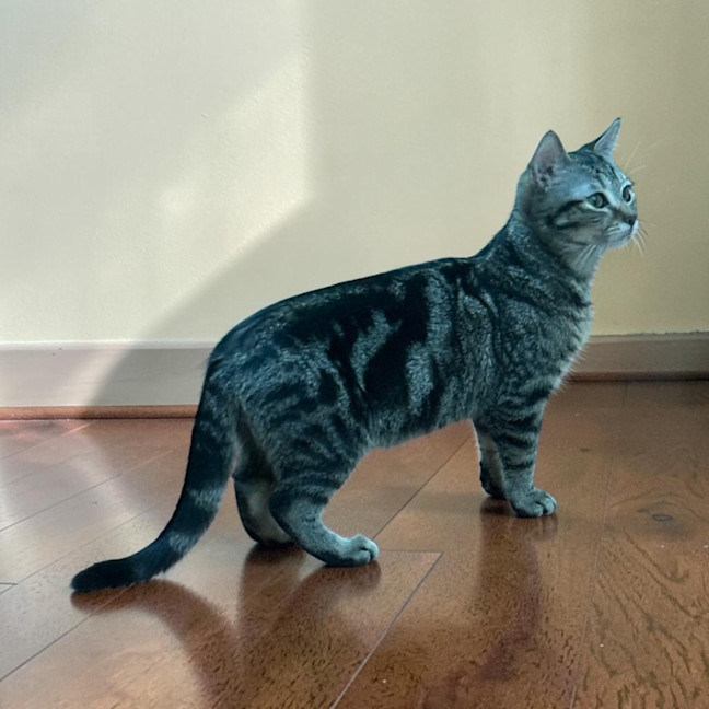 Photo of Velly