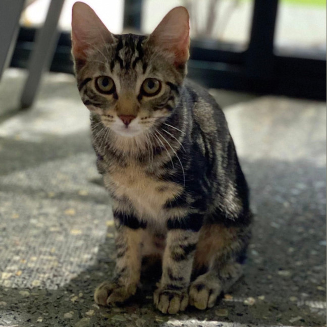 Photo of Pj
