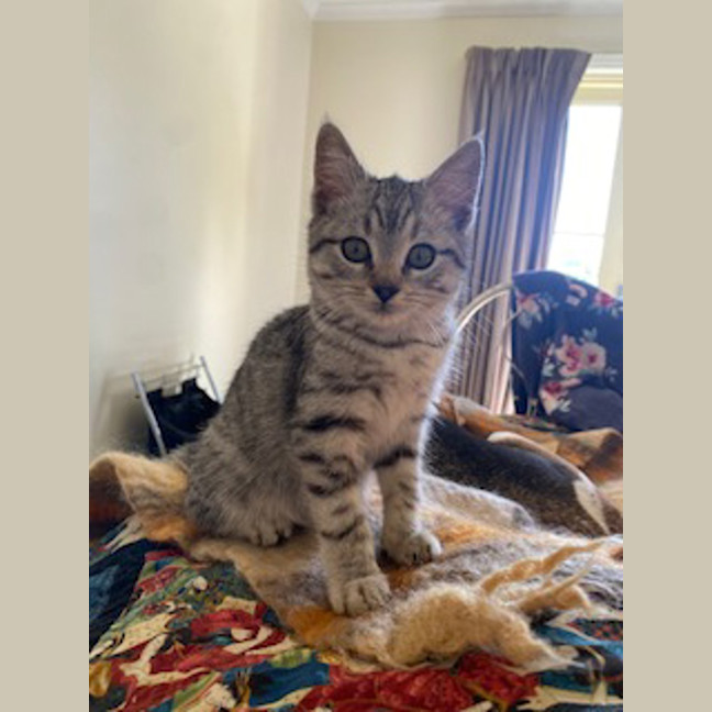 Photo of Timothy 