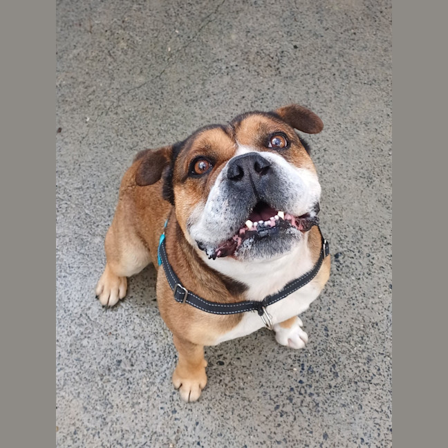 Photo of Louie