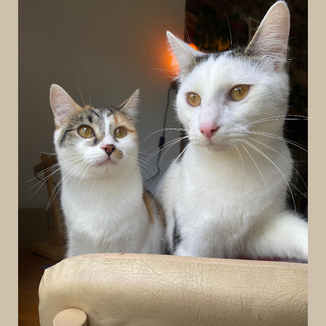 Photo of Aiko And Emiri 🌺💙