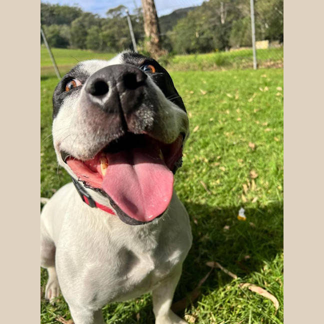 Photo of Biggie Smallz