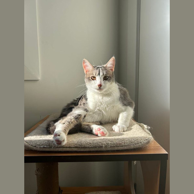 Photo of Lil Sabrina