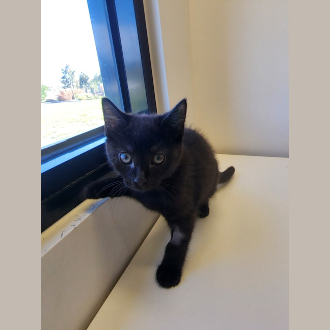 Photo of Nimbus And Storm