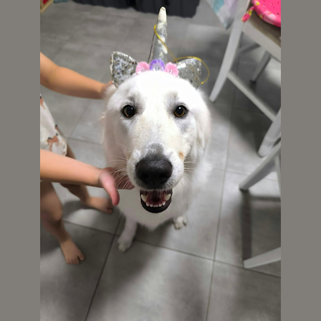Photo of Zeus
