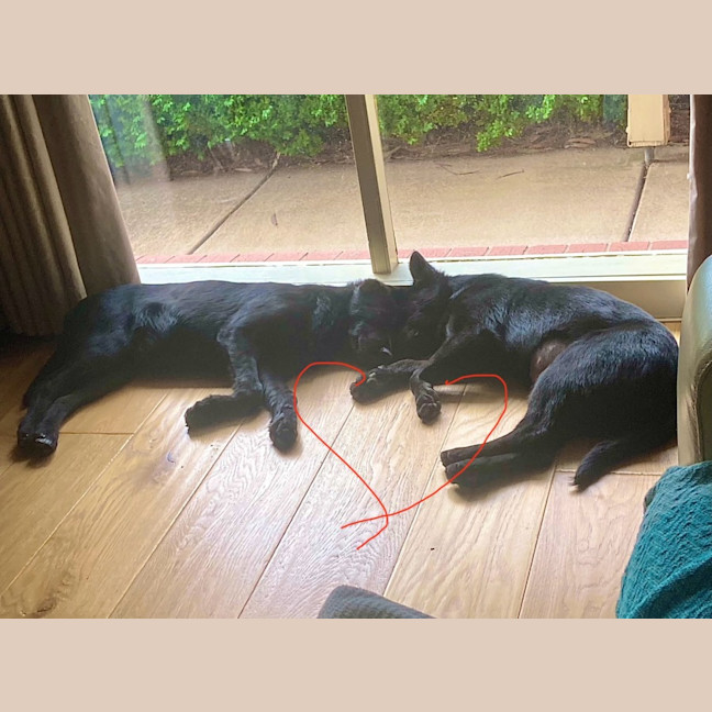 Photo of Jacky Weaver