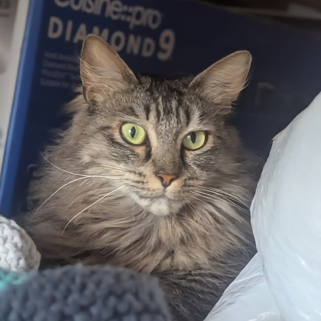 Photo of Lulu
